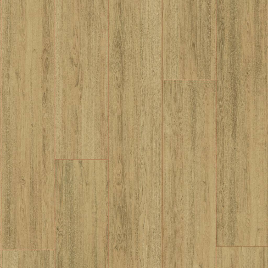 Sumatra 7mm Laminate Flooring Naked Oak Naked Oak Carpet Warehouse